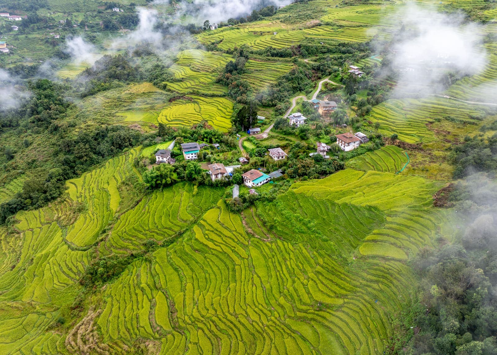 Terraced rice fields and a hamlet in a Bhutanese valley
