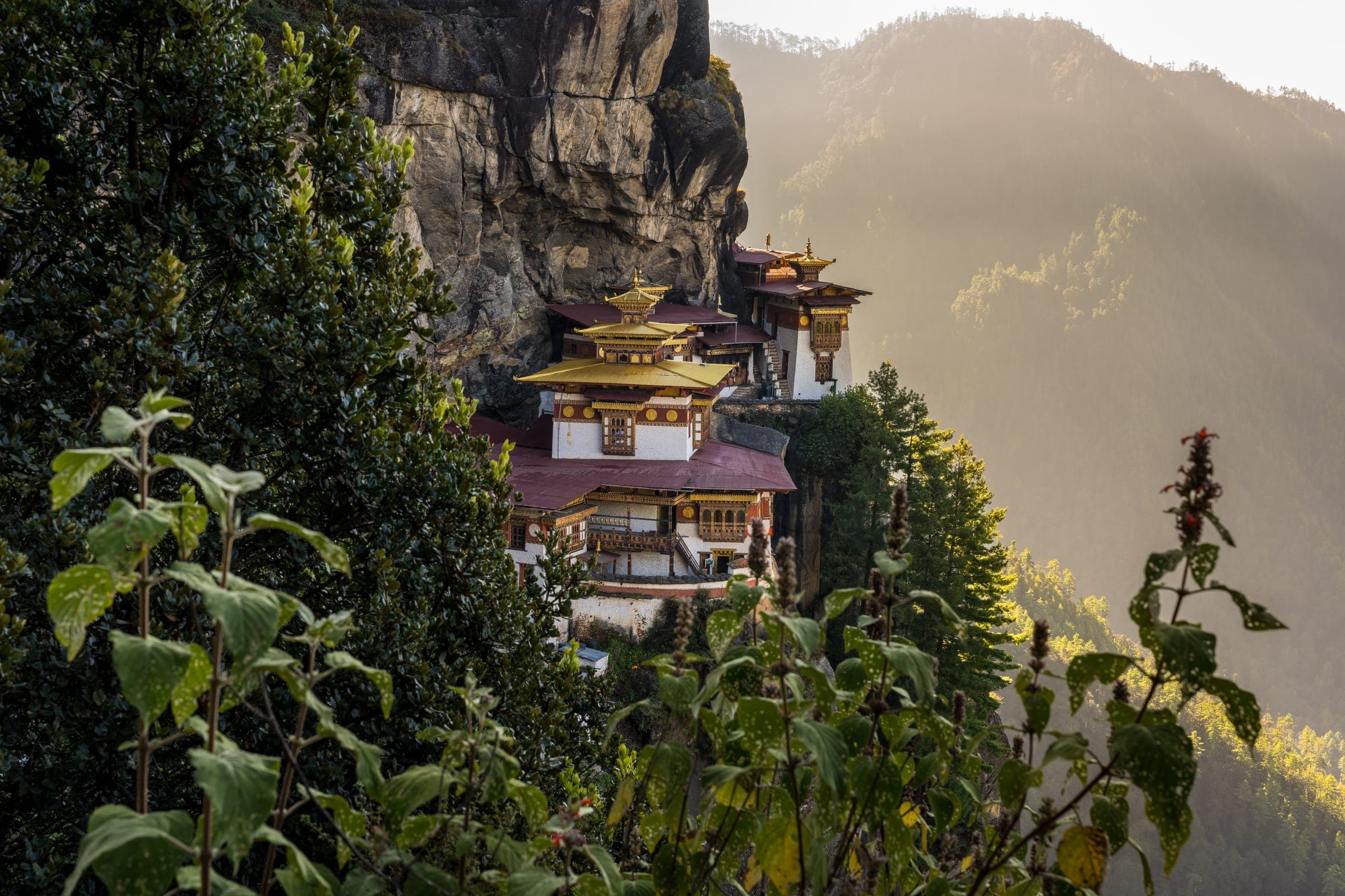 Paro Taktsang, the Tiger's Nest monastery, clinging to a cliff in golden morning light
