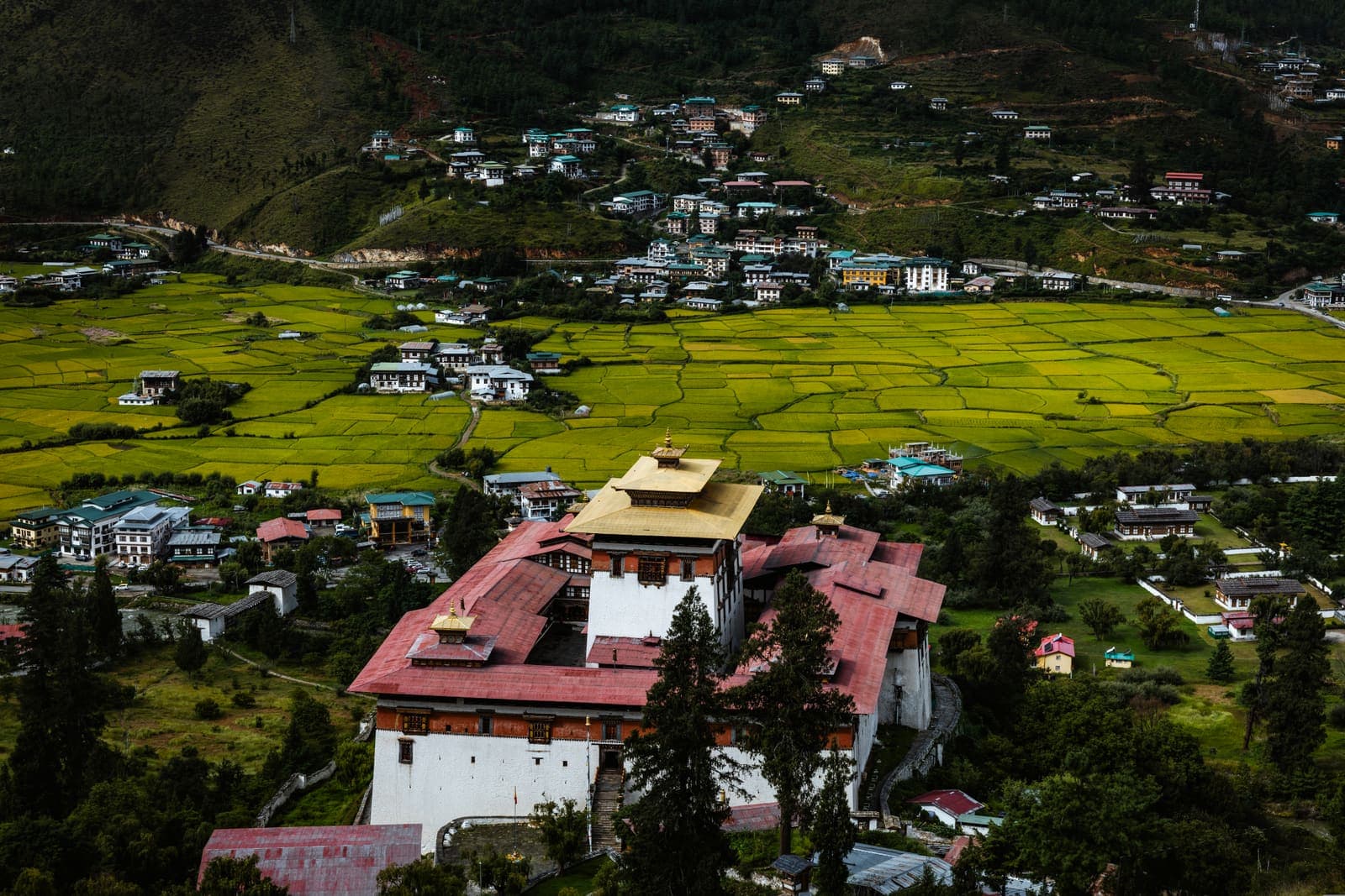 Aerial view of Rinpung Dzong above the Paro valley at golden hour