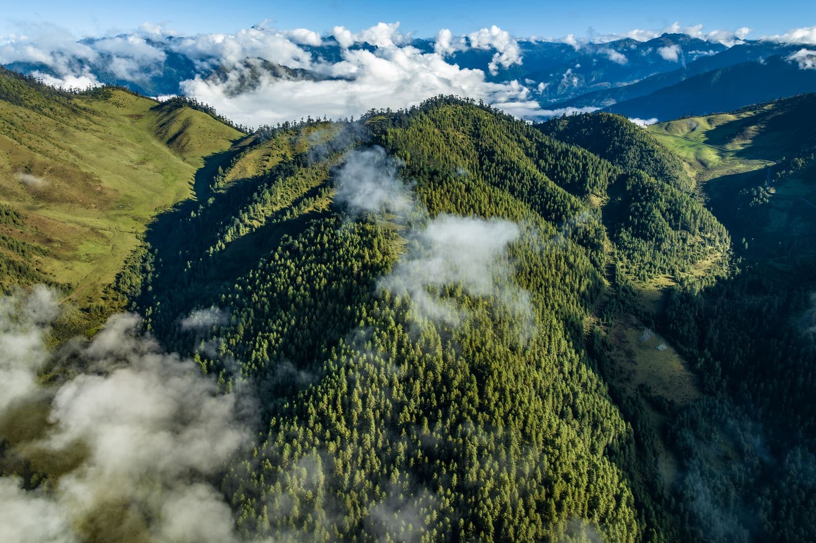 Forested mountains rising above cloud in the eastern Himalayas