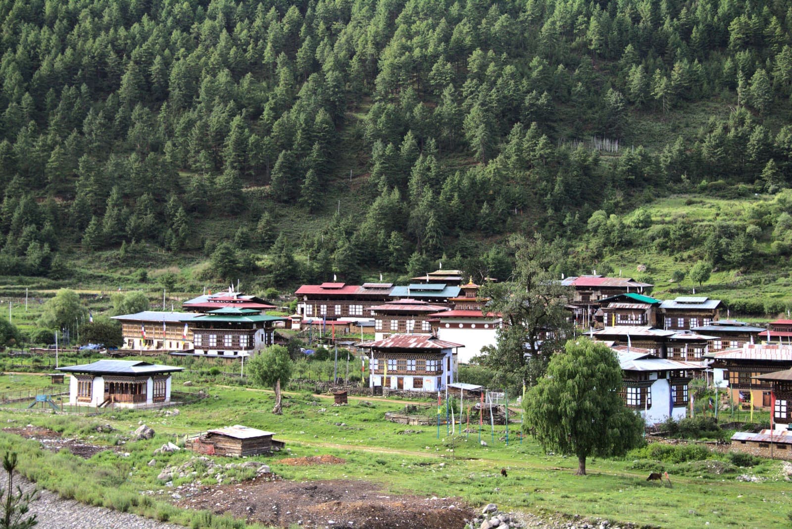 The village of Haa in its green valley