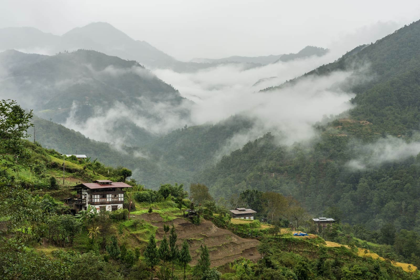 Mist curling through the green hills of Punakha
