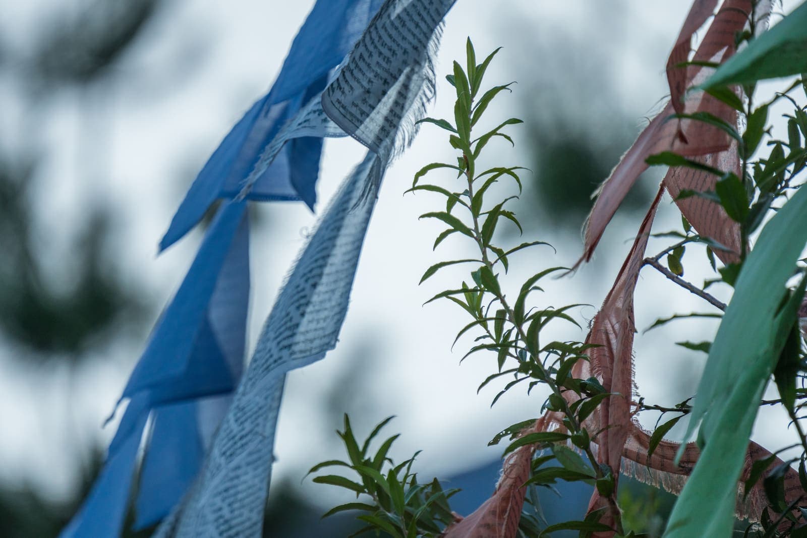 Close view of blue prayer flags against the sky