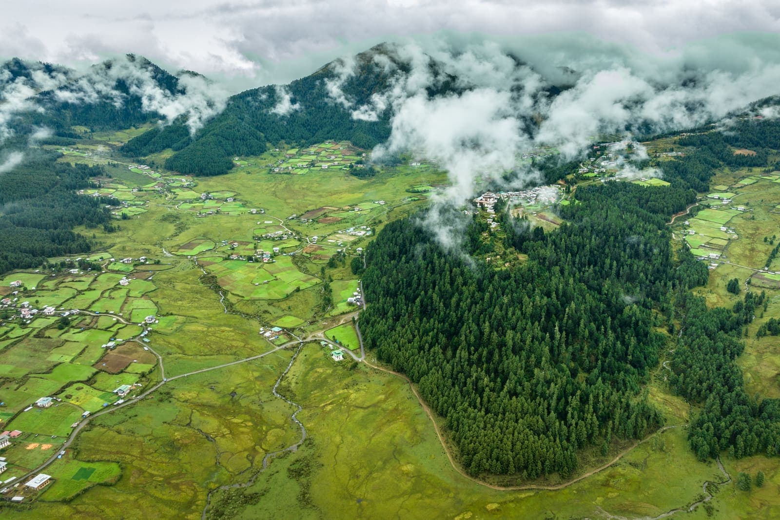 Phobjikha valley from above with terraced fields